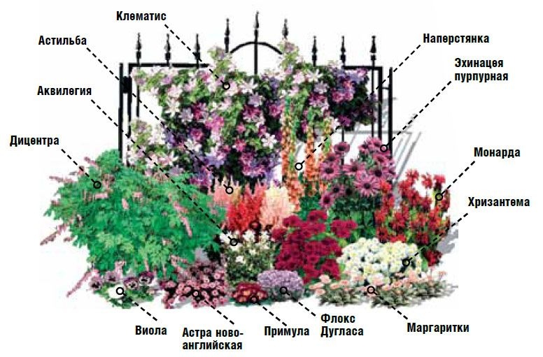 Миксбордер с лилиями готовые схемы